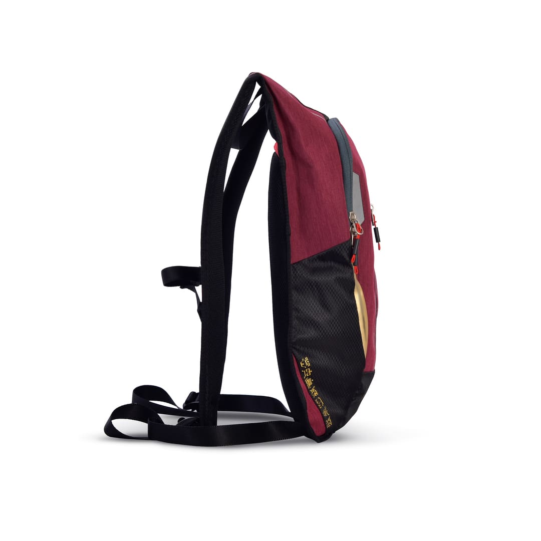 Kamen Rider Kuuga Hiking Bag